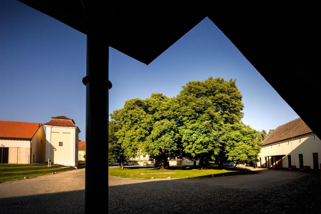 Penzion Pansky Dvur Telč Dış mekan fotoğraf