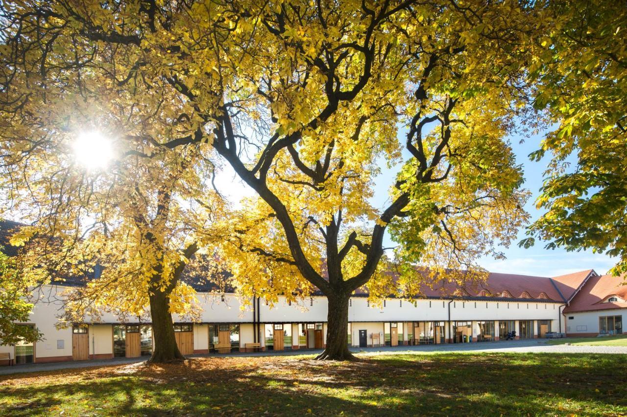Penzion Pansky Dvur Telč Dış mekan fotoğraf
